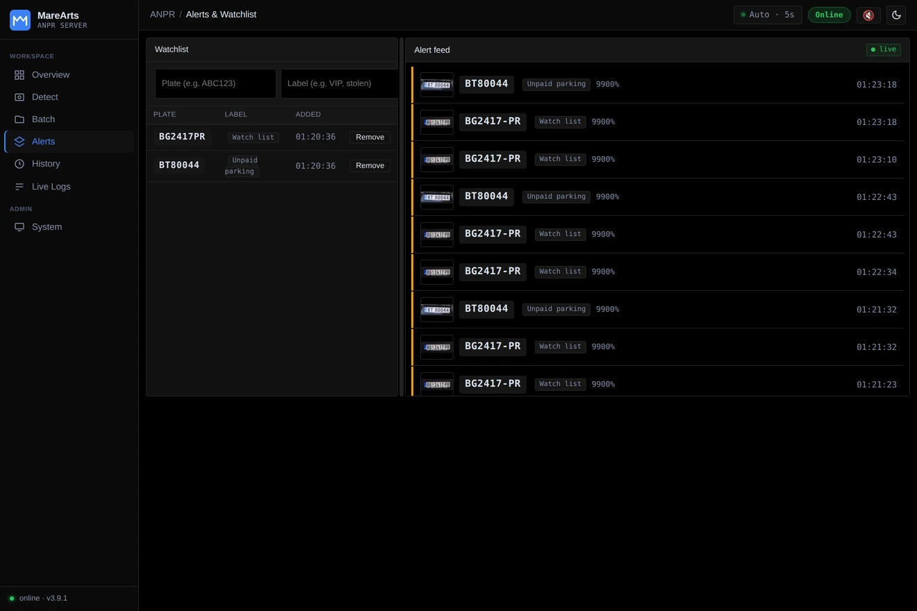 Alerts and watchlist: two plates on the watchlist and the hits