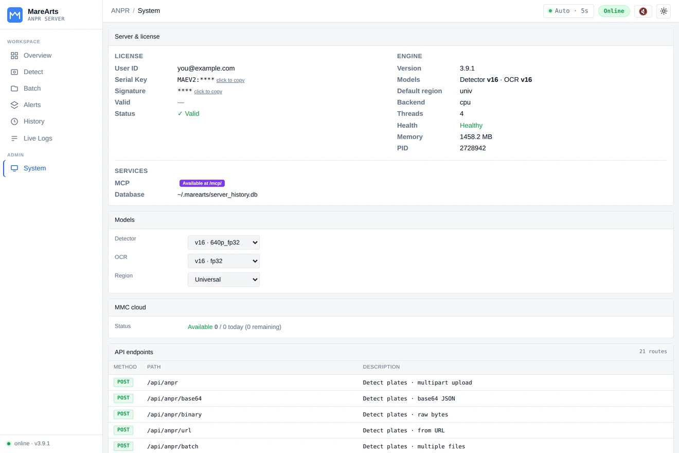 System: licence, engine, models, region and the API endpoints